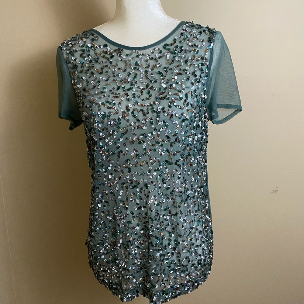 Chan Luu Teal Sequin Top S